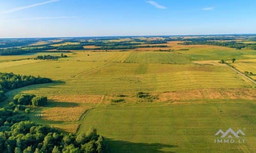 Ein altes Gehöft in Samogitien