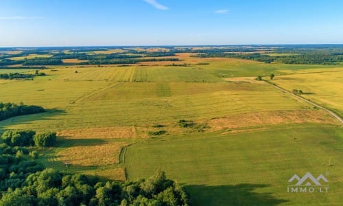 Ein altes Gehöft in Samogitien