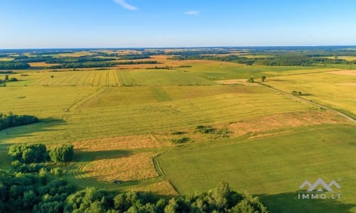 Ein altes Gehöft in Samogitien