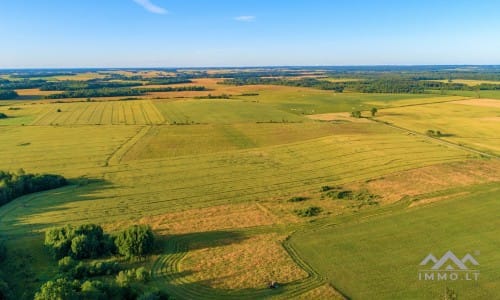 Ein altes Gehöft in Samogitien