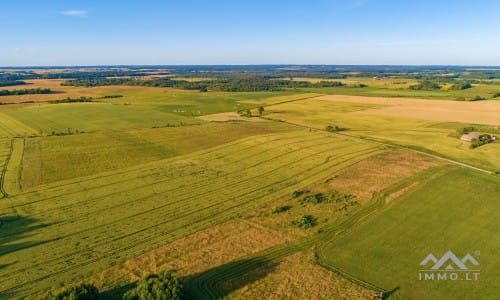 Ein altes Gehöft in Samogitien