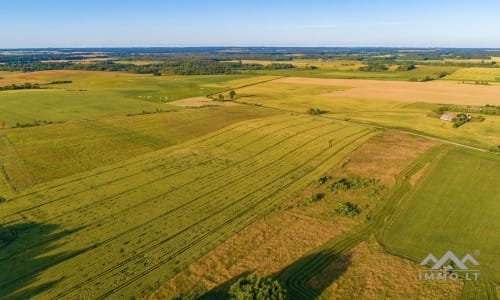 Ein altes Gehöft in Samogitien