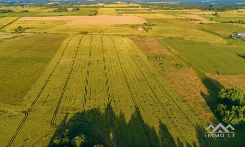 Une ancienne ferme à Samogitia