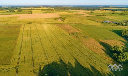 Ein altes Gehöft in Samogitien