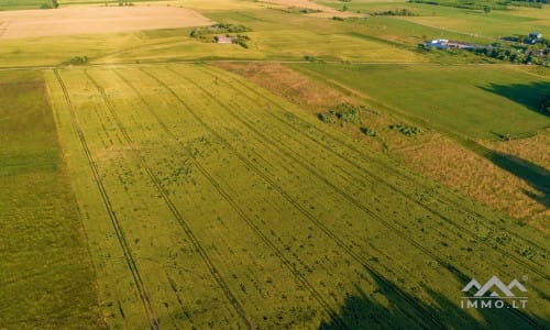 Une ancienne ferme à Samogitia