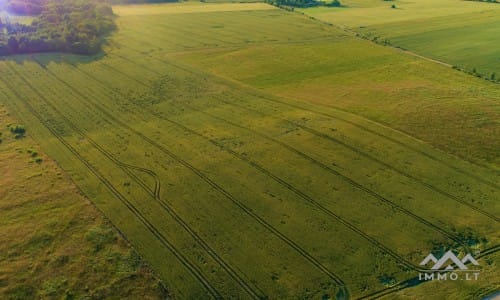 Une ancienne ferme à Samogitia