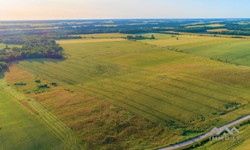 Ein altes Gehöft in Samogitien