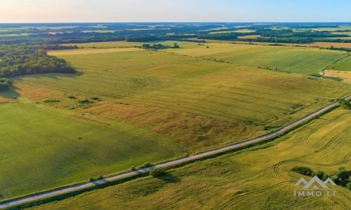 Ein altes Gehöft in Samogitien