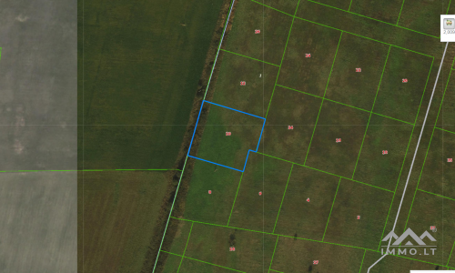 Land Plot For House Construction