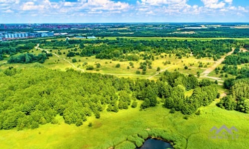 Building Plot Near The Curonian Lagoon