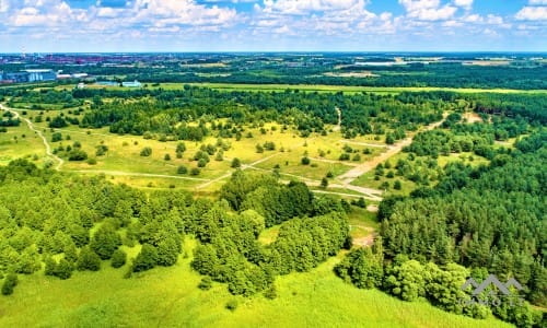 Building Plot Near The Curonian Lagoon