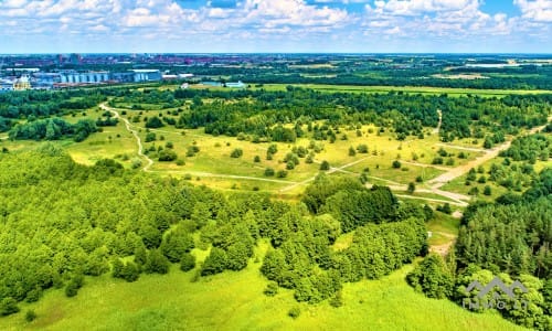 Building Plot Near The Curonian Lagoon