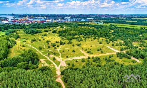 Building Plot Near The Curonian Lagoon