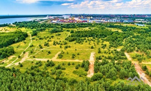 Building Plot Near The Curonian Lagoon