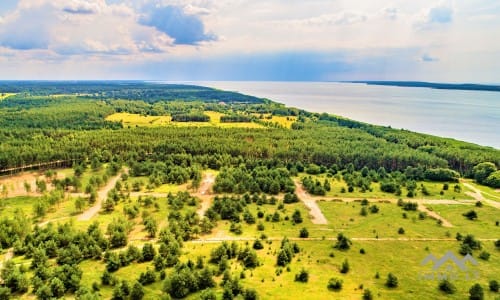 Building Plot Near The Curonian Lagoon