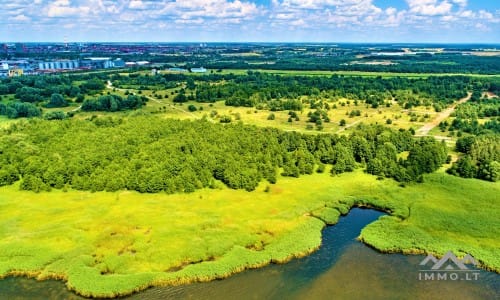 Terrain exclusif à Klaipėda