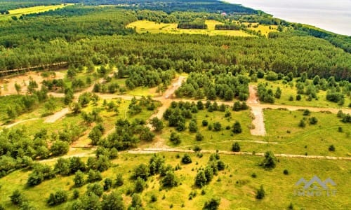 Building Plot Near The Curonian Lagoon