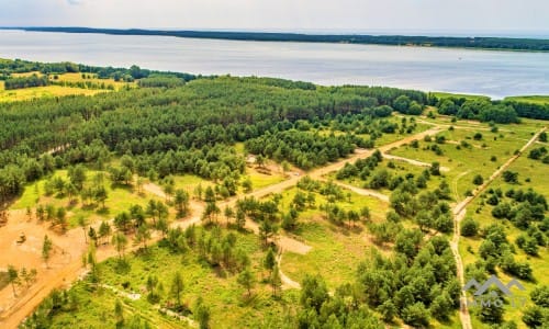 Building Plot Near The Curonian Lagoon