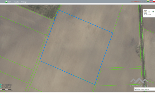 Land Plot Near Palanga