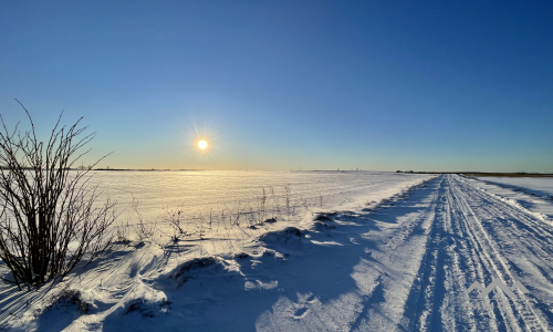 Un terrain près de Palanga