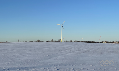 Un terrain près de Palanga