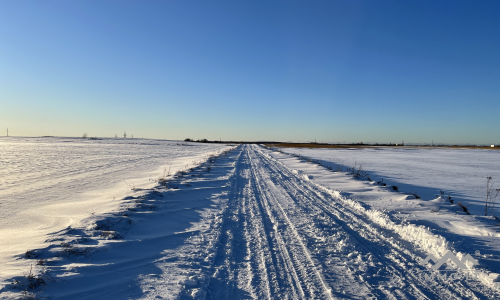 Grundstück in der Nähe von Palanga