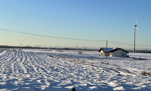 Un terrain près de Palanga