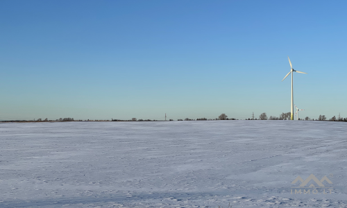 Un terrain près de Palanga