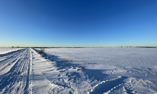 Un terrain près de Palanga