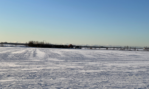 Un terrain près de Palanga