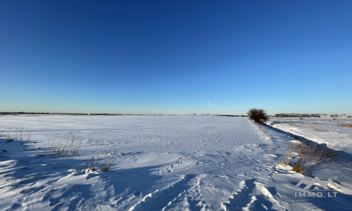 Un terrain près de Palanga