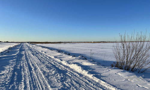 Un terrain près de Palanga