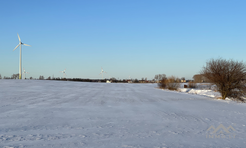 Un terrain près de Palanga