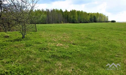 Un terrain dans le district de Šilute