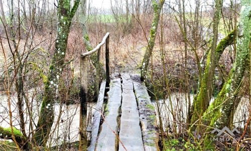 Old Homestead in Skuodas District