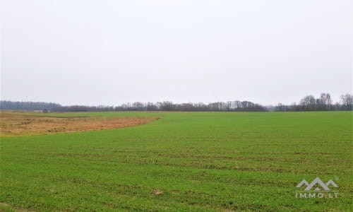 Old Homestead in Skuodas District