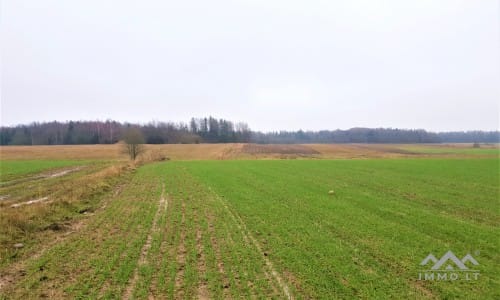 Une vieille ferme dans le quartier de Skuodas