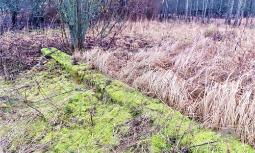 Old Homestead in Skuodas District