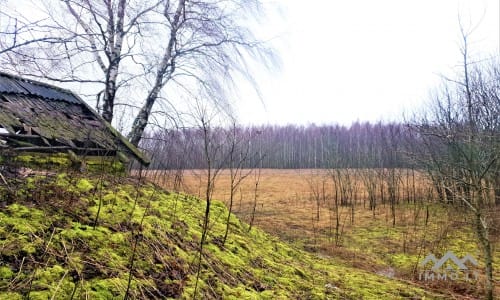 Old Homestead in Skuodas District