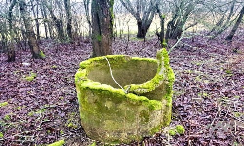 Old Homestead in Skuodas District