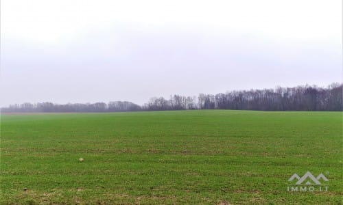 Old Homestead in Skuodas District