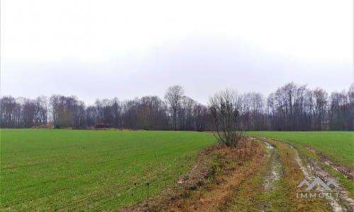 Old Homestead in Skuodas District