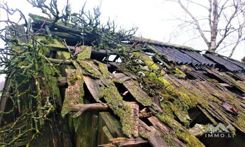 Old Homestead in Skuodas District