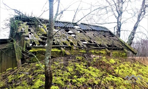 Old Homestead in Skuodas District