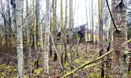 Old Homestead in Skuodas District