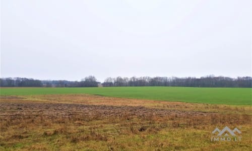 Old Homestead in Skuodas District