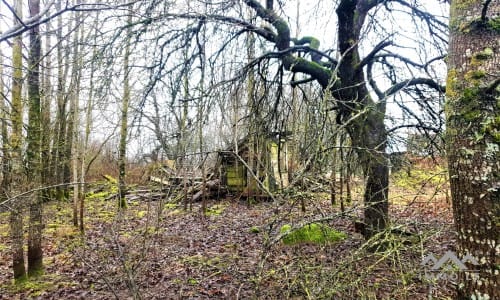 Old Homestead in Skuodas District