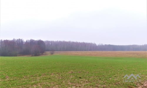 Old Homestead in Skuodas District