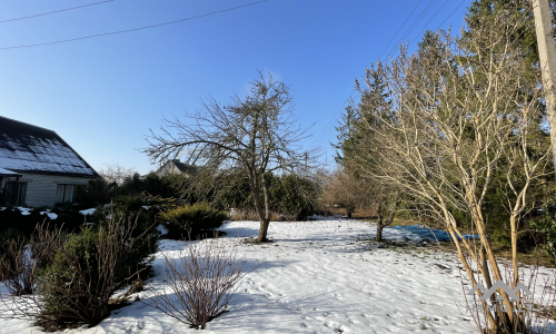 Homestead near Palanga City