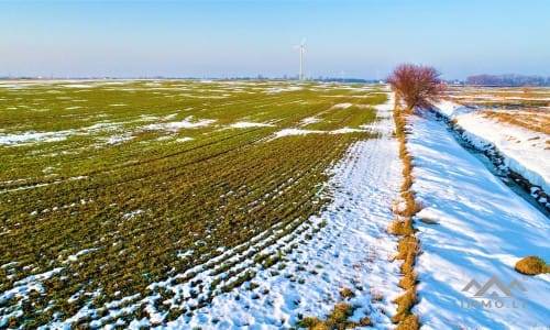 Žemės sklypas šalia Palangos